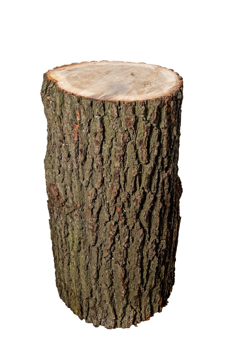 Hackklotz Hartholz Eiche, Höhe 75 cm Hackklotz Hartholz Eiche, Höhe 75 cm